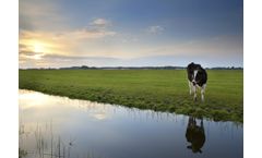 Transforming Agriculture to Deliver Climate and Nature Friendly Farms