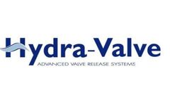 HVL-L - Valve Locking Services