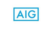 AIG Environmental / American International Group, Inc.