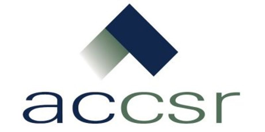 CSR Strategy Services