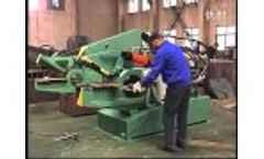 Chinese Q08 metal shear machine Video