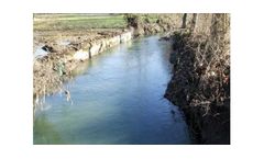 Riparian Vegetation Restoration And Environmental And Landscape Requalification