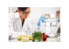 Food Safety & QA Services