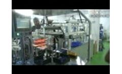 Sunny World automatic solar cell stringer machine made by Shenzhen xinhonghua solar energy co.,ltd Video