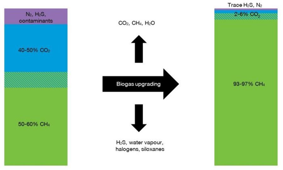 Figure 1: A generalised process schematic for different biogas upgrading technologies producing biomethane.