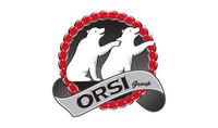 Orsi Group S.r.l.