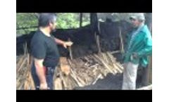 Carbonera Tacares Costa Rica Video