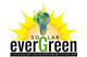 Evergreen Solar