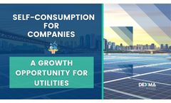 Self-Consumption for Companies: What is the role of the Utilities?