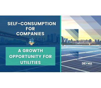 Self-Consumption for Companies: What is the role of the Utilities?