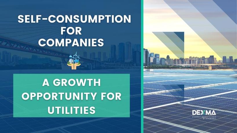 Self-Consumption for Companies: What is the role of the Utilities?-0