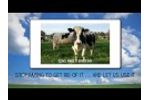 Dairy Cows: Poop-to-Power Video