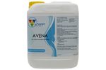 Avena - Root Growth Stimulator