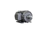 Non C-Face 3 Phase Enclosed Motors