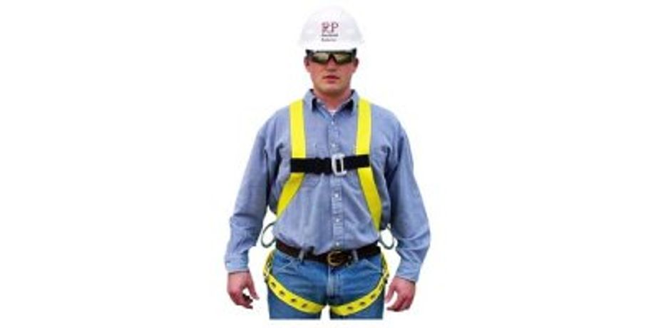 Full Body Harness Rear And Side D Rings