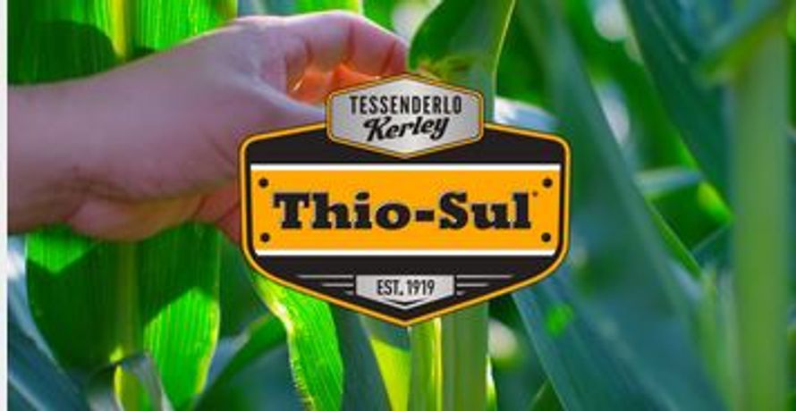 Tessenderlo-Kerley - Model (12-0-0-26S)  -Thio-Sul - Ammonium Thiosulfate Liquid Fertilizer