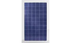 QS Solar - Model QSP6-60/255-265 - Polycrystalline PV Silicon Solar Modules