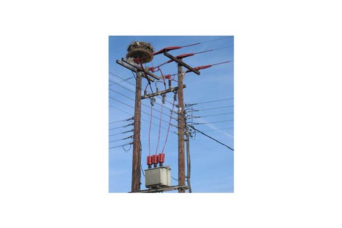 Insulator Enhancement Products for Overhead Power Networks
