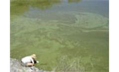 Testing confirms toxic algae poisoned river and two reservoirs in US