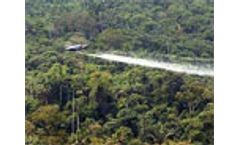 Ecuador sues Colombia to stop anti-coca herbicide spray