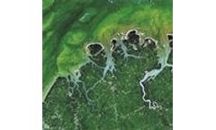 Brazil harnesses space tech to monitor deforestation