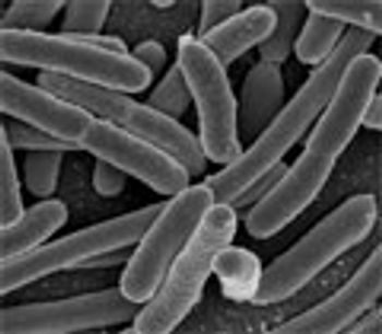 Climate change could impact vital functions of microbes, says new research