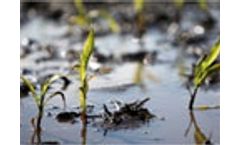 Crops and soil threatened by floods in the Midwest