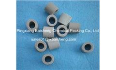Model BS-CCR - 10 mm - Ceramic Rasching Ring