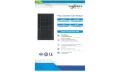 Tainergy - 6 x 10 Pcs Multicrystalline Solar Module PARENT 	 - Brochure