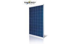 Tainergy - 6 X 12 Pcs Multicrystalline Solar Module