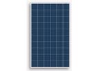 Haitai - Model HTM270~290PA-60 - Polycrystal Solar Cell Modules