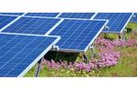 Bauder BioSOLAR - Integrated Mounting Solution for Photovoltaic Renewable Energy
