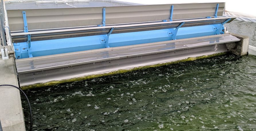 MicroBio Algae Raceway - Fiber Reinforced Polymer (FRP) Paddle Wheel