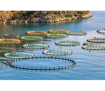 Aquaculture - Environmental - Water Resources