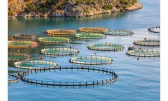 Aquaculture Farming