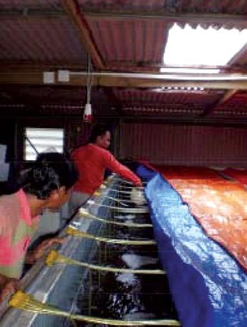 MICROBE-LIFT® Technology Helps Maintain High Quality Water in Prawn Hatchery in Malaysia - AQUACULTURE-1