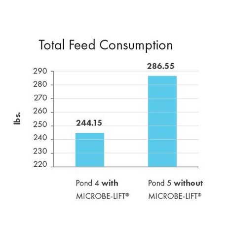 MICROBE-LIFT® Technology Increases Yield & Size of Shrimp on the Gulf Coast in MI   -  AQUACULTURE-1