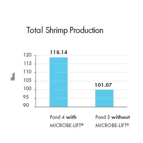 MICROBE-LIFT® Technology Increases Yield & Size of Shrimp on the Gulf Coast in MI   -  AQUACULTURE-2