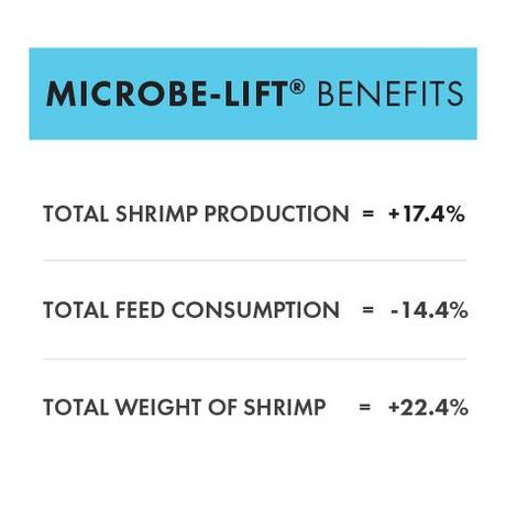 MICROBE-LIFT® Technology Increases Yield & Size of Shrimp on the Gulf Coast in MI   -  AQUACULTURE-0