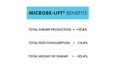 MICROBE-LIFT® Technology Increases Yield & Size of Shrimp on the Gulf Coast in MI   -  AQUACULTURE