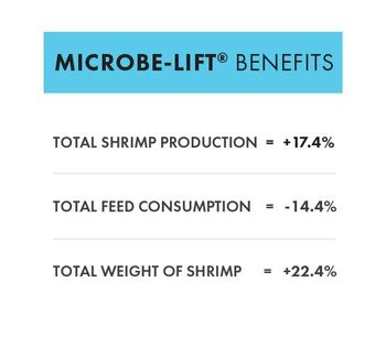 MICROBE-LIFT® Technology Increases Yield & Size of Shrimp on the Gulf Coast in MI   -  AQUACULTURE