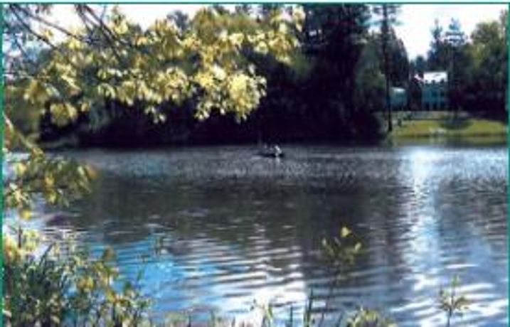 Bioremediation of Occom Pond at Dartmouth College Clears Water - Ecosystem Restoration-1