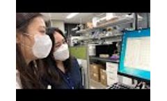 AAPPTec Apex 396 Automated Multiple Peptide Synthesizer - Video