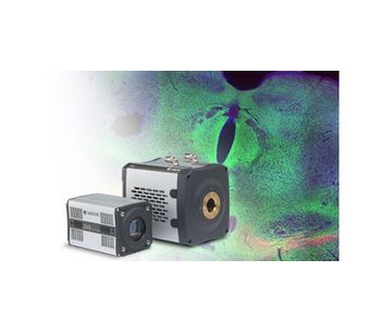 Neo and Zyla - CCD or CMOS Camera