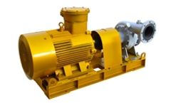 GPE - Model P1001 Series - Screw Pump