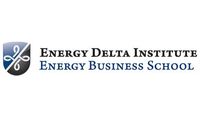 Energy Delta Institute