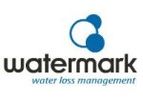 Water Loss Management Services