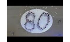 Belgrade Fair`s 80th Anniversary Video