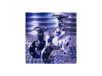 ASME Gate Valves