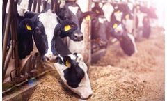 Gas Monitoring  Solutions for Greenhouse Gas
